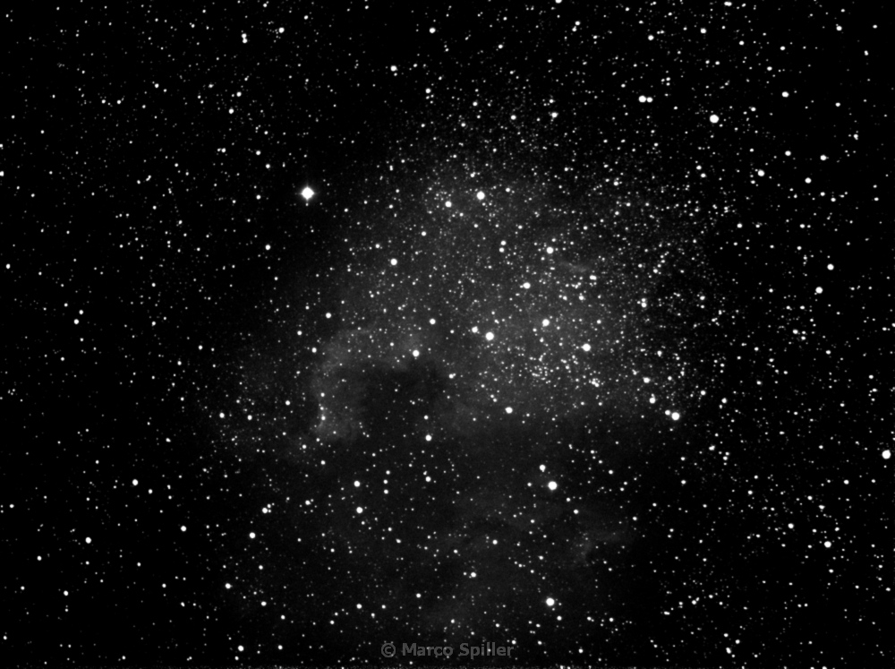 NGC 7000 - Nord America